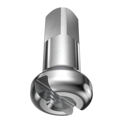 Speichennippel CN Spokes 2 x 14 mm Messing silber